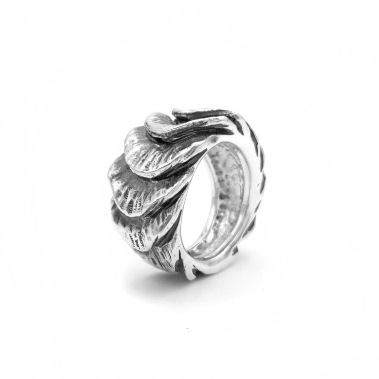 Anello-Conchiglia-Fascia ok